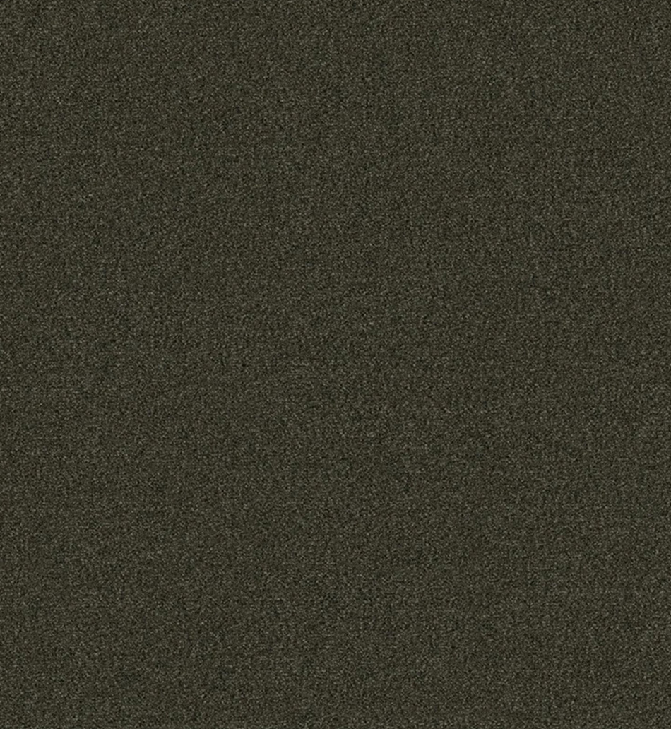 Брудозахисне покриття Coral Classic 4734 (9 мм)
