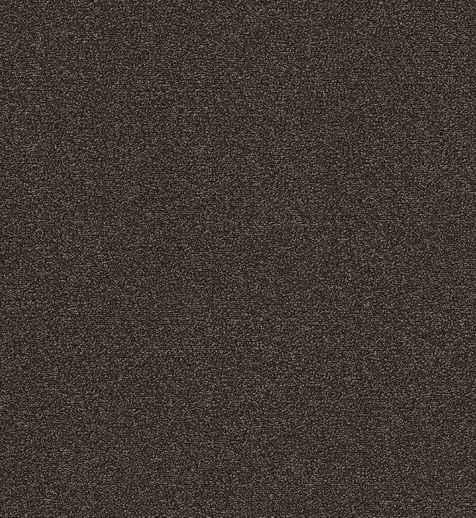 Брудозахисне покриття Coral Classic 4784 (9 мм)