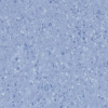Гомогенне вінілове покриття Sphera Element 51037 (2 мм)