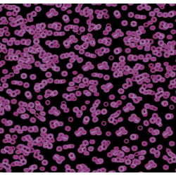 Флоковане килимове покриття Flotex Sottsass 990104 (4.3 мм)