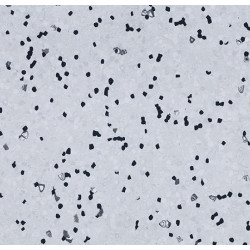 Струмопровідне покриття Sphera EC 450007 (2 мм)