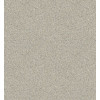 Линолеум коммерческий Strong Plus Patio 967L (2 м)